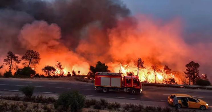 Algérie : Enquête ouverte après une série d’incendies inhabituels en plein mois de novembre