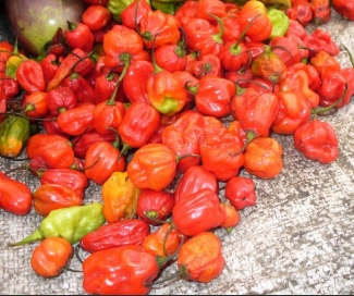 RDC : Explosion du prix du piment à Inongo, hausse de 400 % sur les marchés