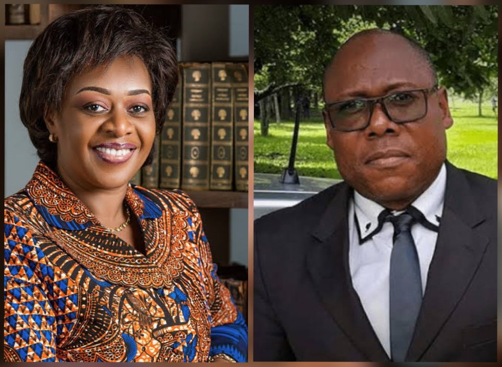 RDC : 985.000 $ sollicités pour le concert de Fally Ipupa au Stade de France