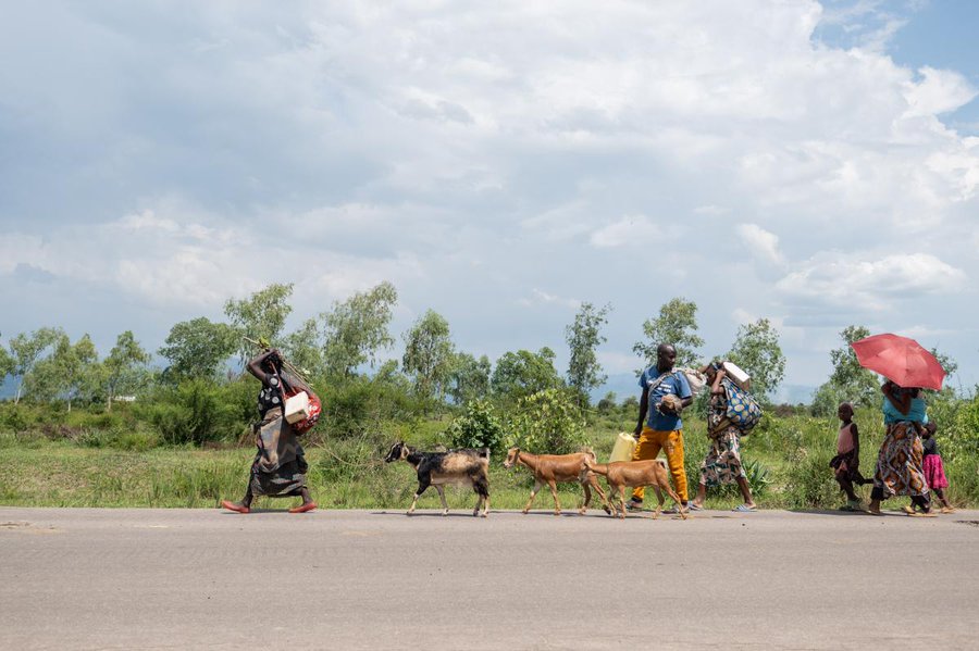 Crise à l’Est de la RDC : Le M23 avance dans le Sud-Kivu malgré l’accord de paix de Washington